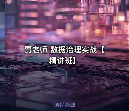 贾老师 数据治理实战【精讲班】