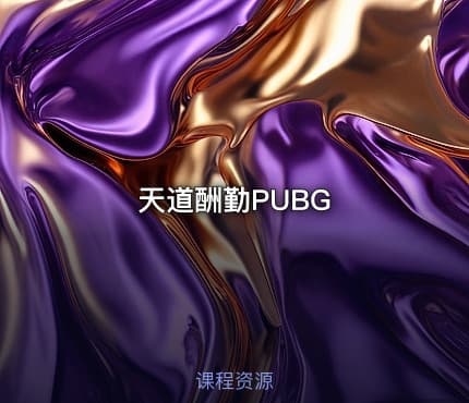 天道酬勤PUBG