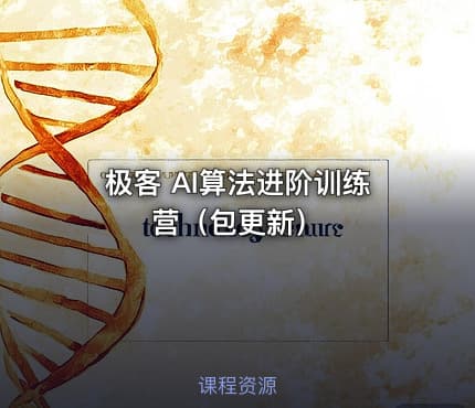 极客 AI算法进阶训练营（包更新）