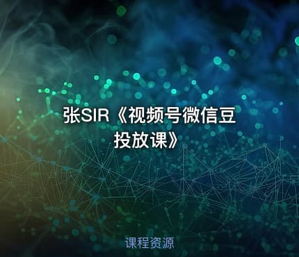 张SIR《视频号微信豆投放课》