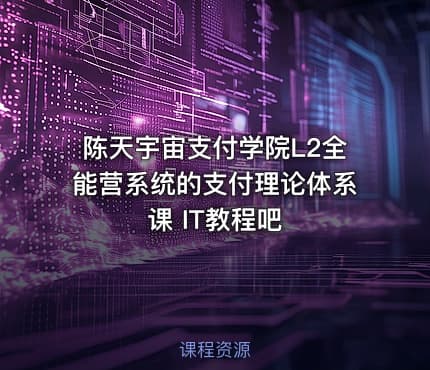陈天宇宙支付学院L2全能营系统的支付理论体系课 IT教程吧
