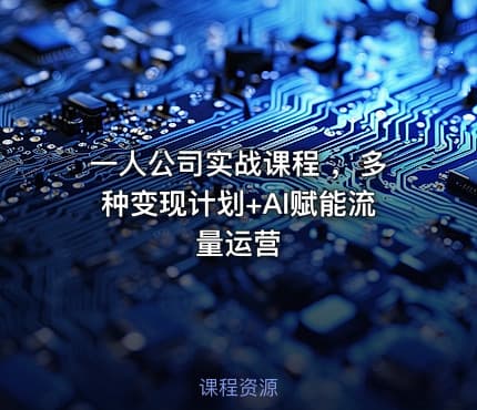 一人公司实战课程 ，多种变现计划+AI赋能流量运营