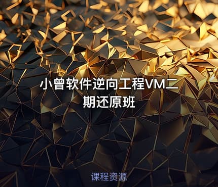 小曾软件逆向工程VM二期还原班