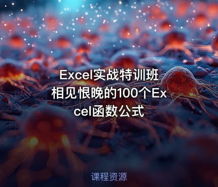 Excel实战特训班 相见恨晚的100个Excel函数公式