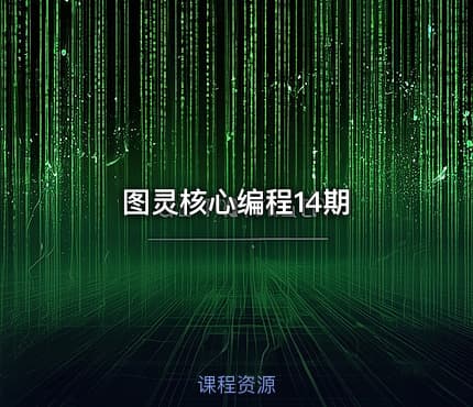 图灵核心编程14期