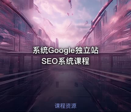 系统Google独立站SEO系统课程