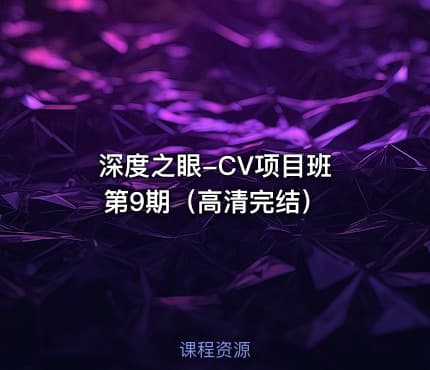 深度之眼-CV项目班 第9期（高清完结）