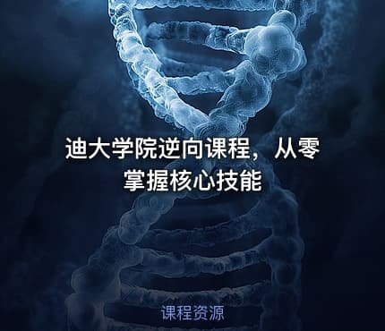 迪大学院逆向课程，从零掌握核心技能