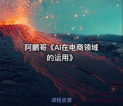 阿鹏哥《AI在电商领域的运用》