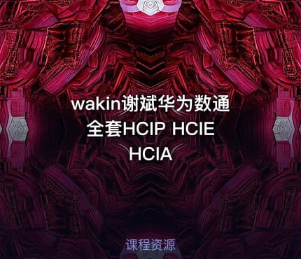 wakin谢斌华为数通全套HCIP HCIE HCIA