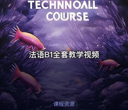 法语B1全套教学视频