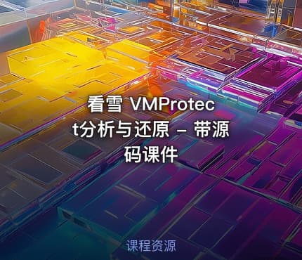 看雪 VMProtect分析与还原 - 带源码课件