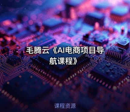 毛腾云《AI电商项目导航课程》
