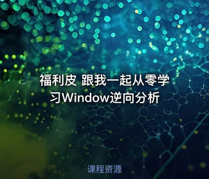 福利皮 跟我一起从零学习Window逆向分析