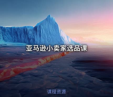 亚马逊小卖家选品课