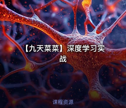 【九天菜菜】深度学习实战