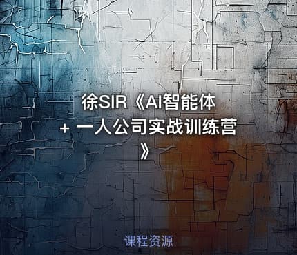 徐SIR《AI智能体 + 一人公司实战训练营》