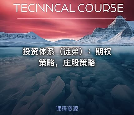 投资体系（徒弟）：期权策略，庄股策略