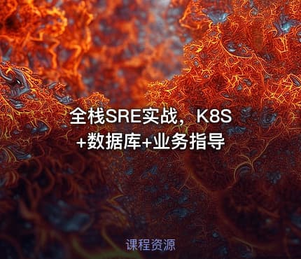全栈SRE实战，K8S+数据库+业务指导