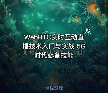 WebRTC实时互动直播技术入门与实战 5G时代必备技能