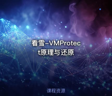 看雪-VMProtect原理与还原