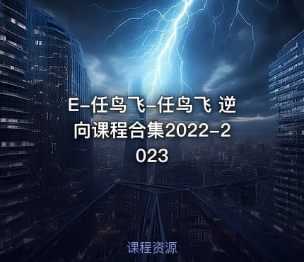 E-任鸟飞-任鸟飞 逆向课程合集2022-2023