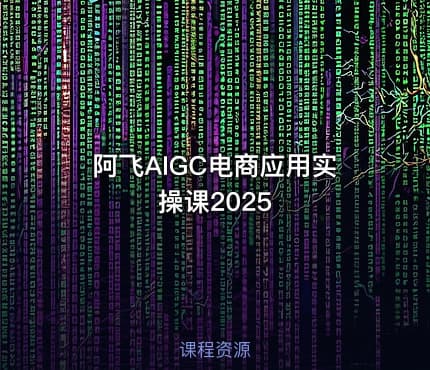 阿飞AIGC电商应用实操课2025
