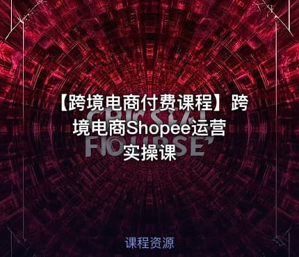【跨境电商付费课程】跨境电商Shopee运营实操课