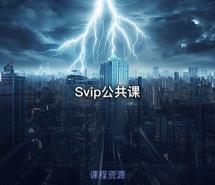 Svip公共课