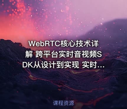 WebRTC核心技术详解 跨平台实时音视频SDK从设计到实现 实时音视频打造高效跨平台