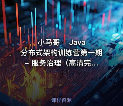小马哥 - Java 分布式架构训练营第一期 - 服务治理（高清完结无密）