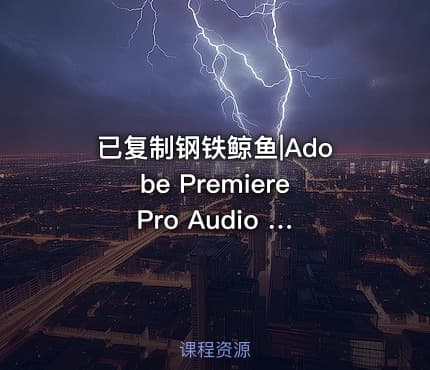 已复制钢铁鲸鱼|Adobe Premiere Pro Audio Previews