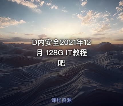D内安全2021年12月 128G IT教程吧