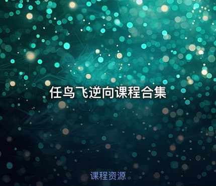 任鸟飞逆向课程合集