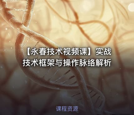 【永春技术视频课】实战技术框架与操作脉络解析