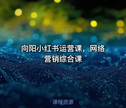 向阳小红书运营课，网络营销综合课