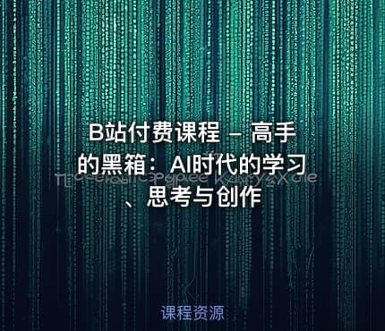 B站付费课程 - 高手的黑箱：AI时代的学习、思考与创作