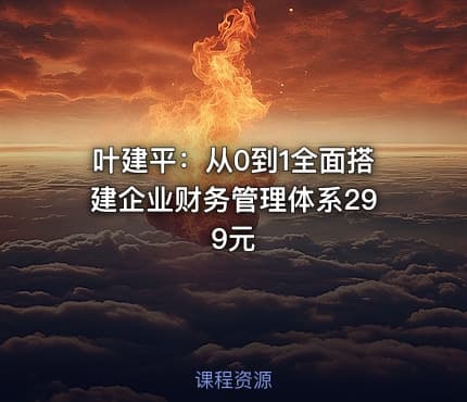 叶建平：从0到1全面搭建企业财务管理体系299元