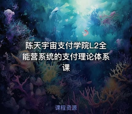 陈天宇宙支付学院L2全能营系统的支付理论体系课