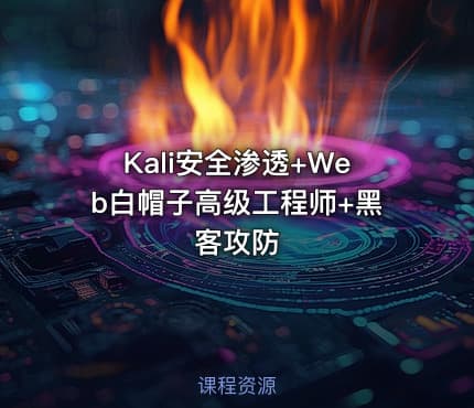 Kali安全渗透+Web白帽子高级工程师+黑客攻防