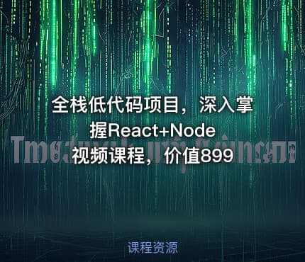 全栈低代码项目，深入掌握React+Node 视频课程，价值899