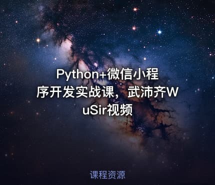 Python+微信小程序开发实战课，武沛齐WuSir视频