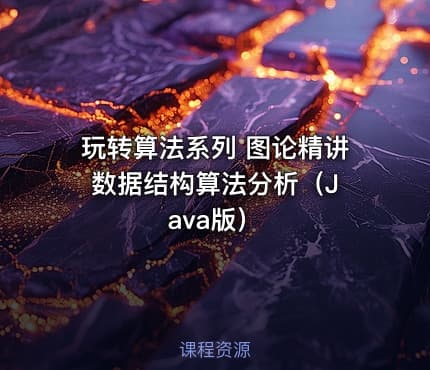 玩转算法系列 图论精讲 数据结构算法分析（Java版）