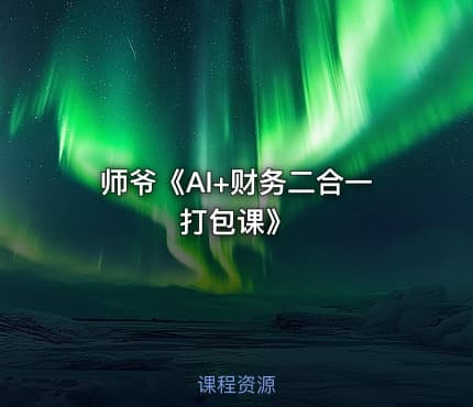 师爷《AI+财务二合一打包课》