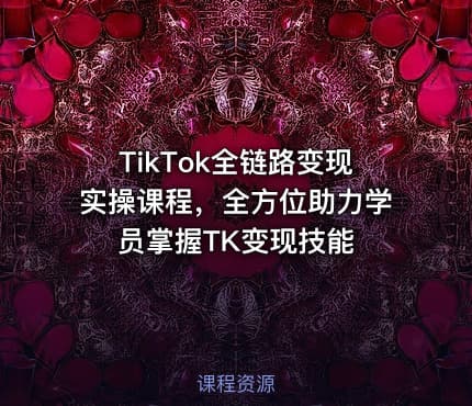 TikTok全链路变现实操课程，全方位助力学员掌握TK变现技能