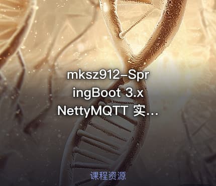mksz912-SpringBoot 3.xNettyMQTT 实战物联网智能充电桩