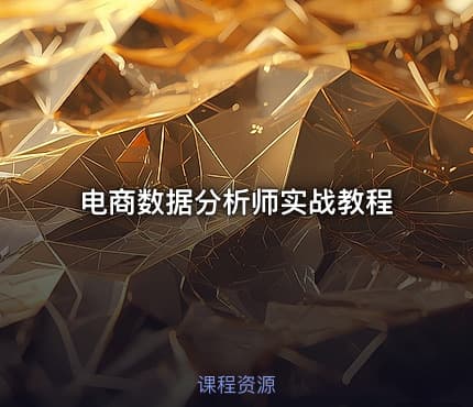 电商数据分析师实战教程