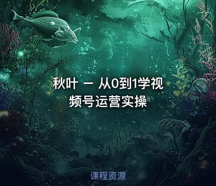 秋叶 – 从0到1学视频号运营实操