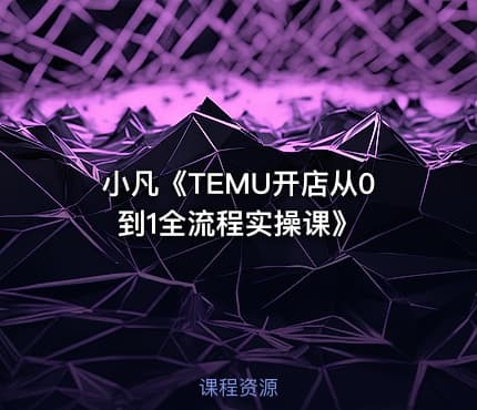 小凡《TEMU开店从0到1全流程实操课》