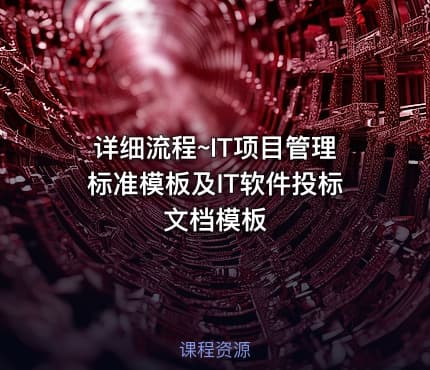 详细流程~IT项目管理标准模板及IT软件投标文档模板